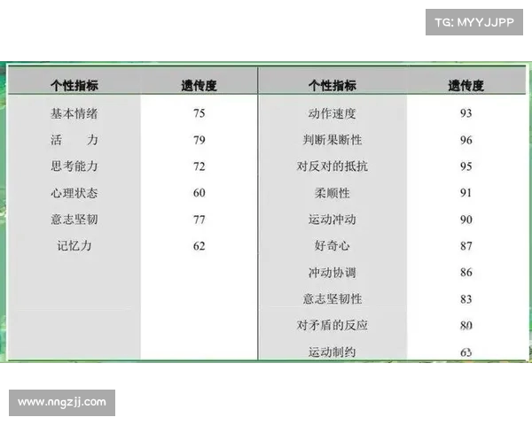 网球比赛技术评分体系分析与评估方法探讨 网球比赛技术评分体系分析与评估方法探讨